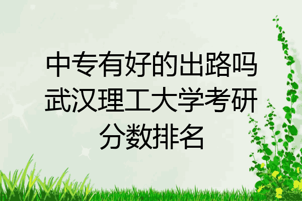 中专有好的出路吗武汉理工大学考研分数排名
