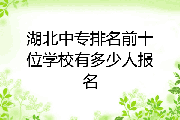 湖北中专排名前十位学校有多少人报名