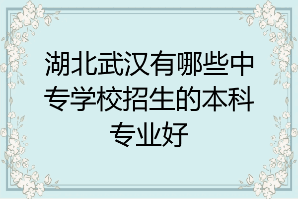 湖北武汉有哪些中专学校招生的本科专业好