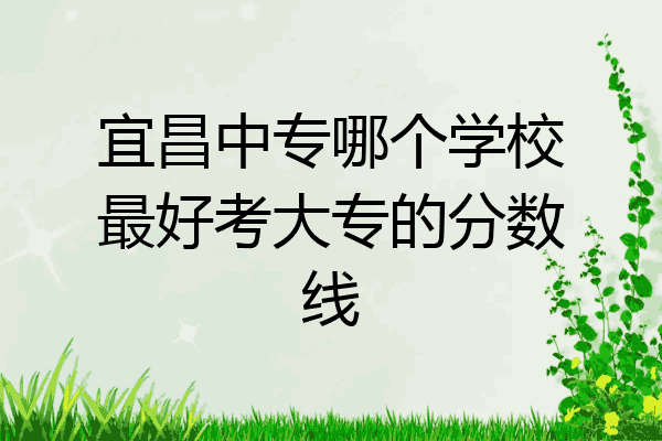宜昌中专哪个学校最好考大专的分数线