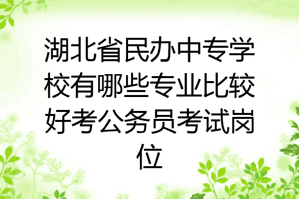 湖北省民办中专学校有哪些专业比较好考公务员考试岗位