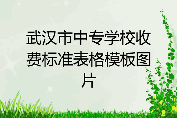 武汉市中专学校收费标准表格模板图片