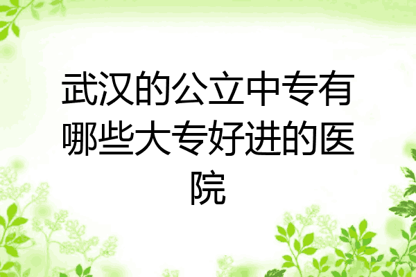 武汉的公立中专有哪些大专好进的医院