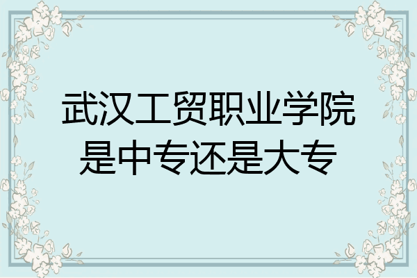 武汉工贸职业学院是中专还是大专