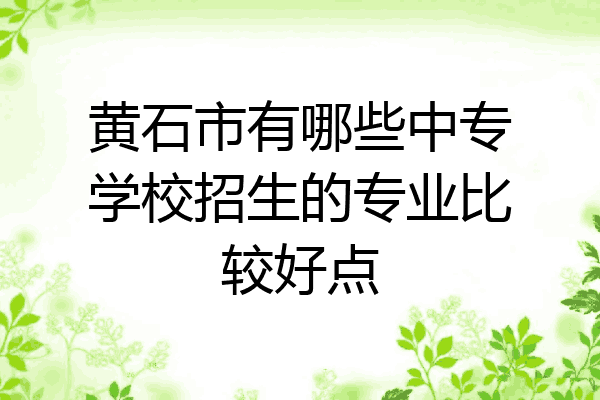 黄石市有哪些中专学校招生的专业比较好点