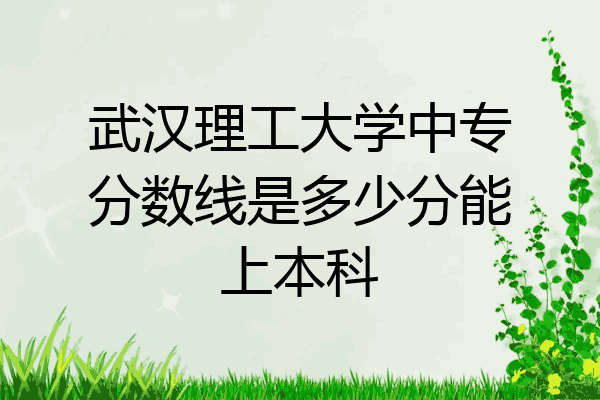 武汉理工大学中专分数线是多少分能上本科
