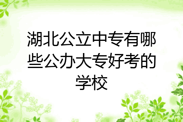湖北公立中专有哪些公办大专好考的学校