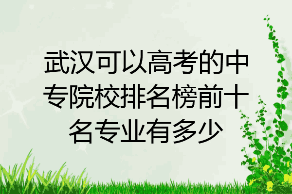 武汉可以高考的中专院校排名榜前十名专业有多少