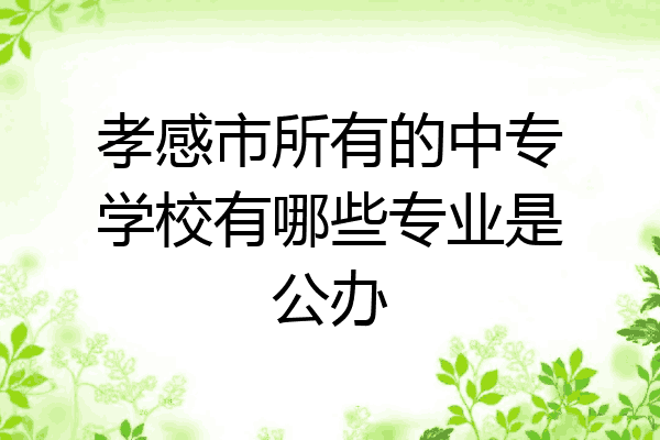 孝感市所有的中专学校有哪些专业是公办