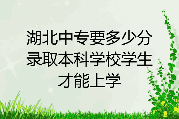 湖北中专要多少分录取本科学校学生才能上学