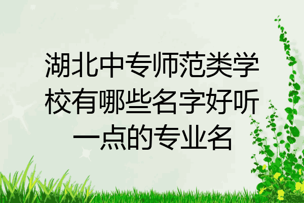 湖北中专师范类学校有哪些名字好听一点的专业名