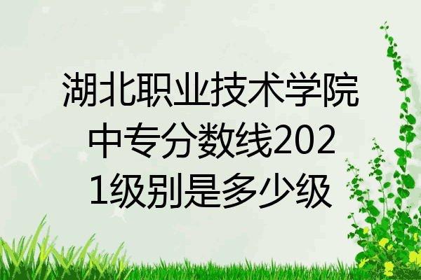 湖北职业技术学院中专分数线2021级别是多少级