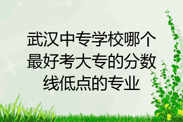 武汉中专学校哪个最好考大专的分数线低点的专业