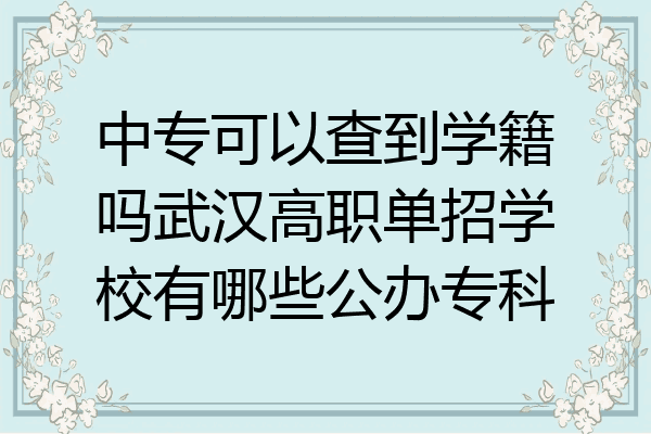 中专可以查到学籍吗武汉高职单招学校有哪些公办专科