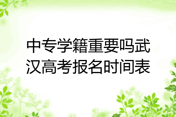 中专学籍重要吗武汉高考报名时间表