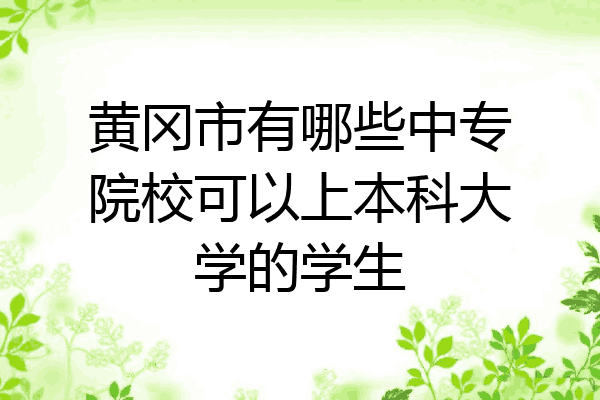 黄冈市有哪些中专院校可以上本科大学的学生