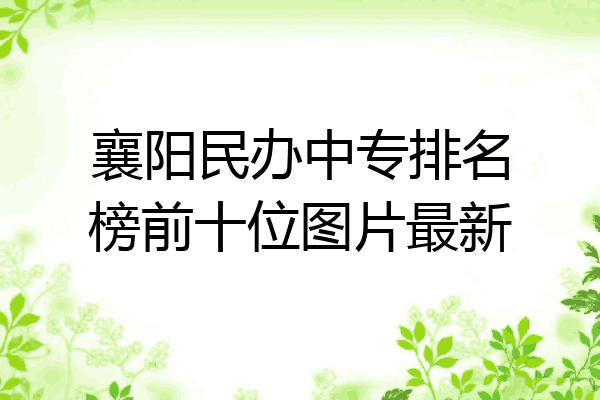 襄阳民办中专排名榜前十位图片最新