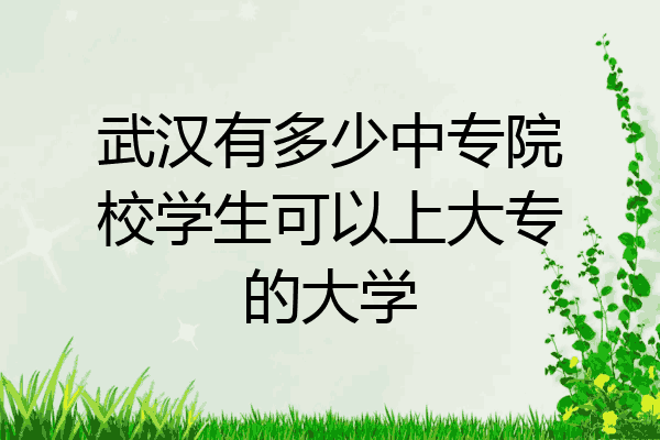 武汉有多少中专院校学生可以上大专的大学