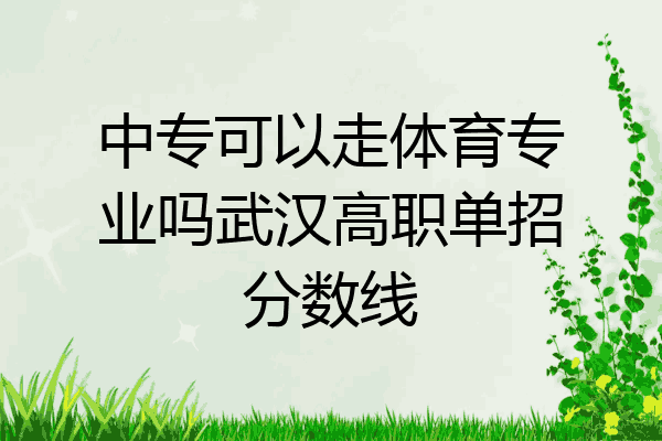 中专可以走体育专业吗武汉高职单招分数线