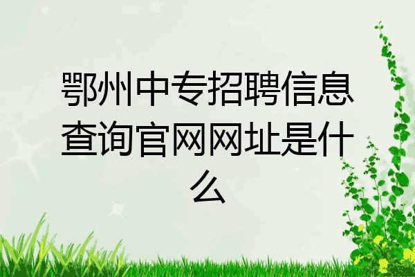 鄂州中专招聘信息查询官网网址是什么