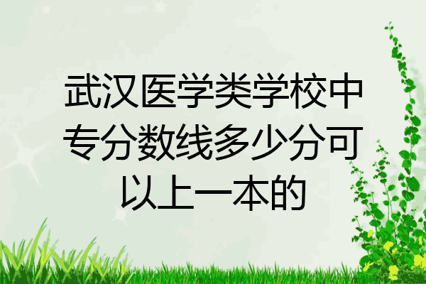 武汉医学类学校中专分数线多少分可以上一本的