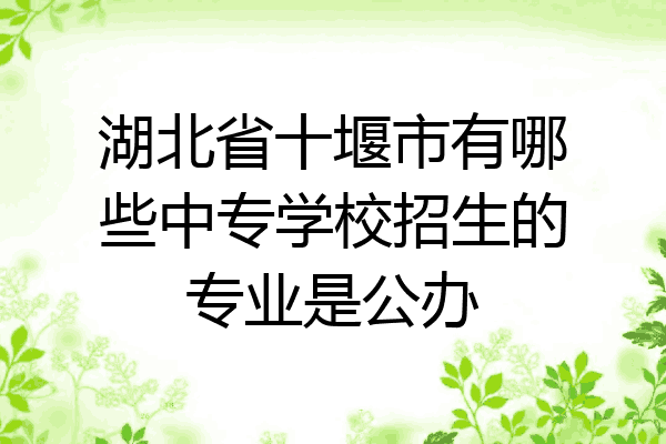 湖北省十堰市有哪些中专学校招生的专业是公办
