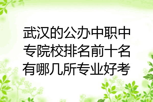 武汉的公办中职中专院校排名前十名有哪几所专业好考