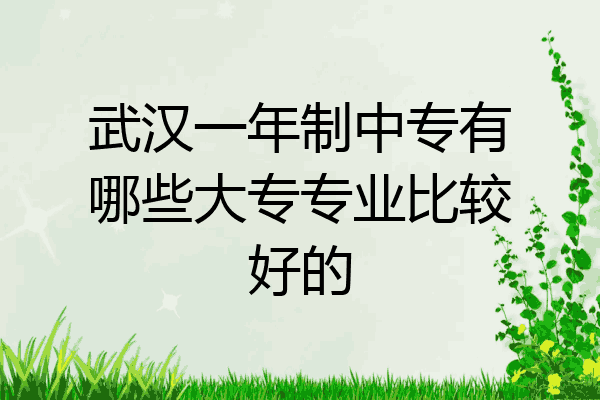 武汉一年制中专有哪些大专专业比较好的