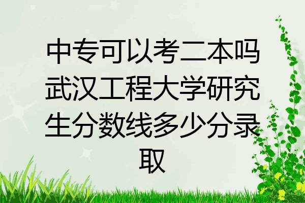 中专可以考二本吗武汉工程大学研究生分数线多少分录取
