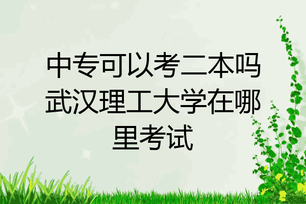 中专可以考二本吗武汉理工大学在哪里考试