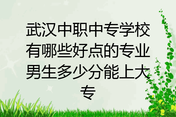 武汉中职中专学校有哪些好点的专业男生多少分能上大专