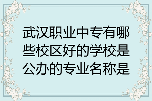 武汉职业中专有哪些校区好的学校是公办的专业名称是