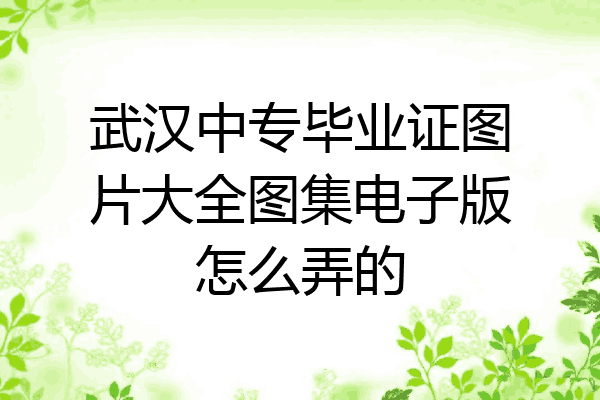 武汉中专毕业证图片大全图集电子版怎么弄的