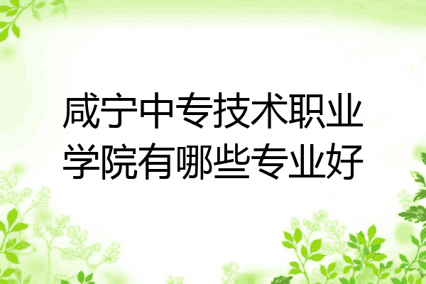 咸宁中专技术职业学院有哪些专业好