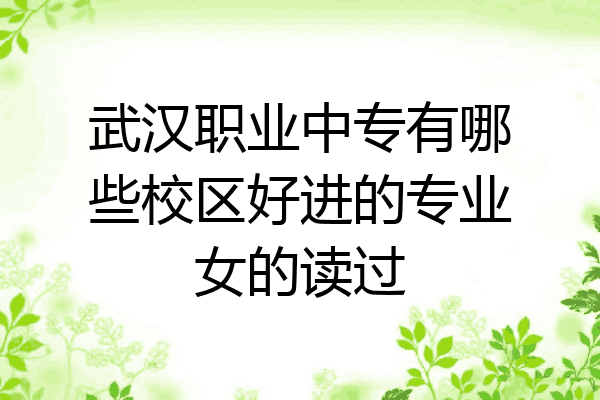 武汉职业中专有哪些校区好进的专业女的读过