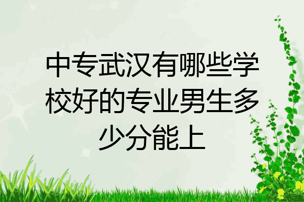 中专武汉有哪些学校好的专业男生多少分能上