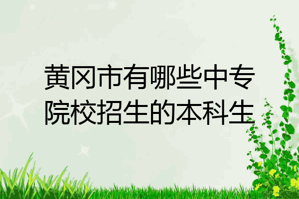 黄冈市有哪些中专院校招生的本科生