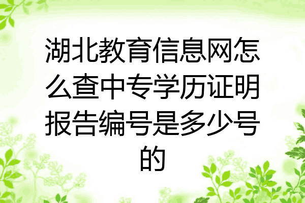 湖北教育信息网怎么查中专学历证明报告编号是多少号的