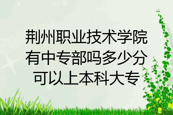 荆州职业技术学院有中专部吗多少分可以上本科大专