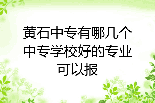 黄石中专有哪几个中专学校好的专业可以报