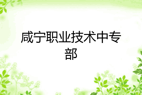 咸宁职业技术中专部
