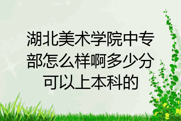 湖北美术学院中专部怎么样啊多少分可以上本科的