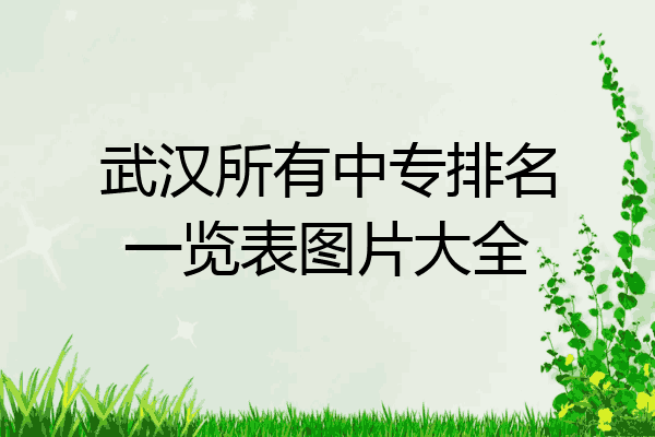 武汉所有中专排名一览表图片大全
