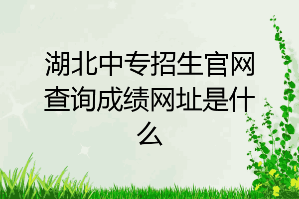 湖北中专招生官网查询成绩网址是什么