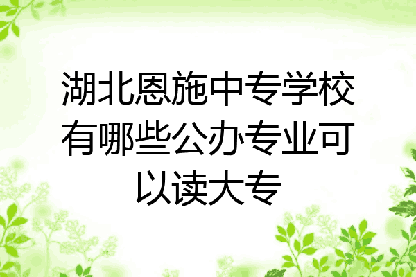 湖北恩施中专学校有哪些公办专业可以读大专