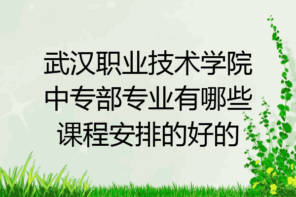 武汉职业技术学院中专部专业有哪些课程安排的好的