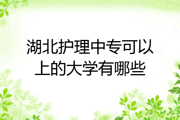 湖北护理中专可以上的大学有哪些