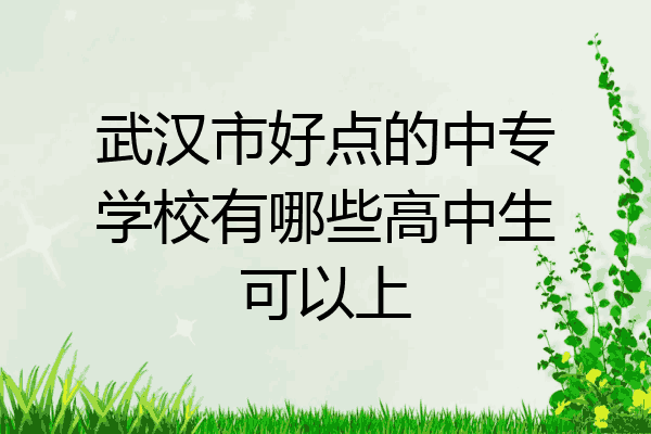 武汉市好点的中专学校有哪些高中生可以上