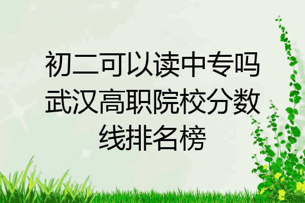 初二可以读中专吗武汉高职院校分数线排名榜