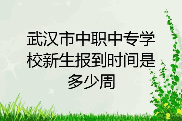 武汉市中职中专学校新生报到时间是多少周